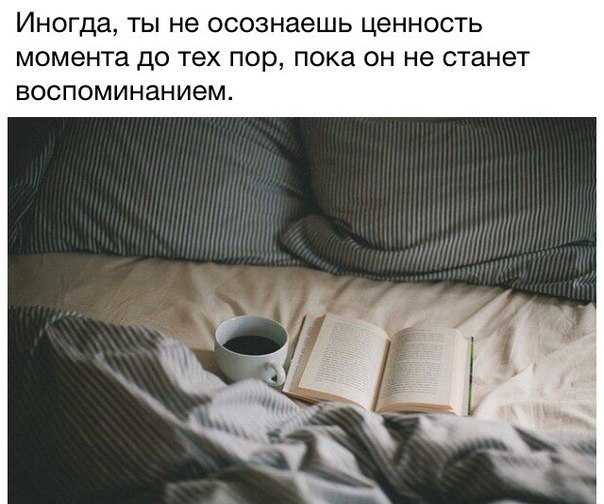 Веселые картинки и фото с надписями из сети Веселые картинки и фото с надписями из сети