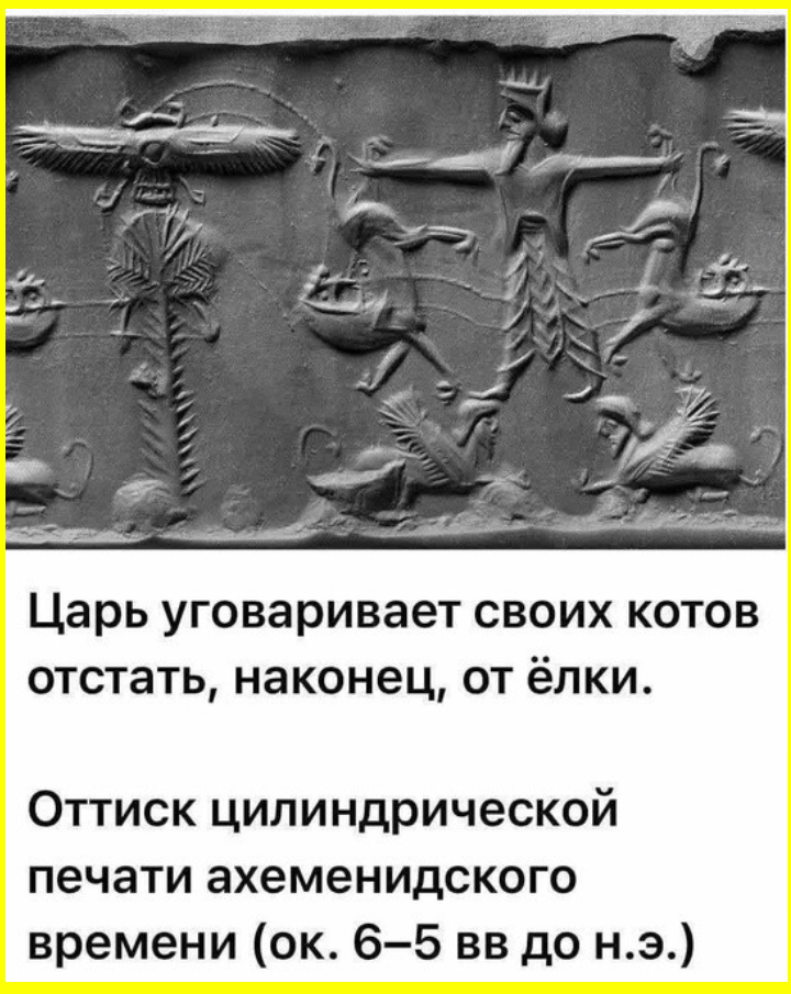 Бесит, когда ты устал и хочешь прилечь, но ты уже лежишь.... Юмор на сон грядущий 