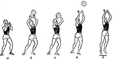 Передача мяча в волейболе начинается с. Передача мяча в волейболе
