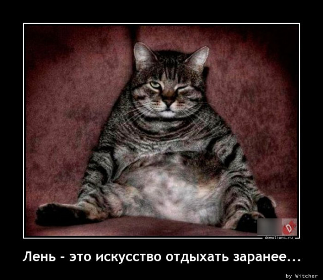 Демотиваторов прикольных порция 