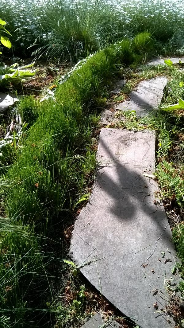 Как я их хотела!!! Ножницы от Gardena Как я их хотела!!! Ножницы от Gardena