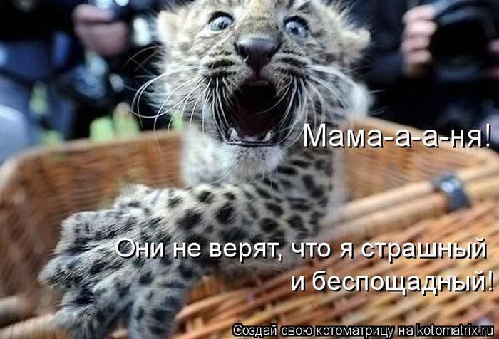 Мысли вслух :)