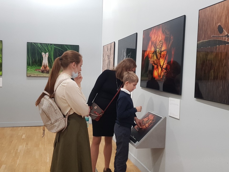 original зейские огни последний номер