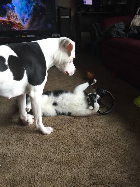 Субботний Фотопозитив 