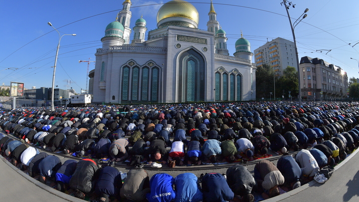 "У самих работы нет": Русские в отчаянии, а чиновники везут "кишлак-арбайтеров" вагонами