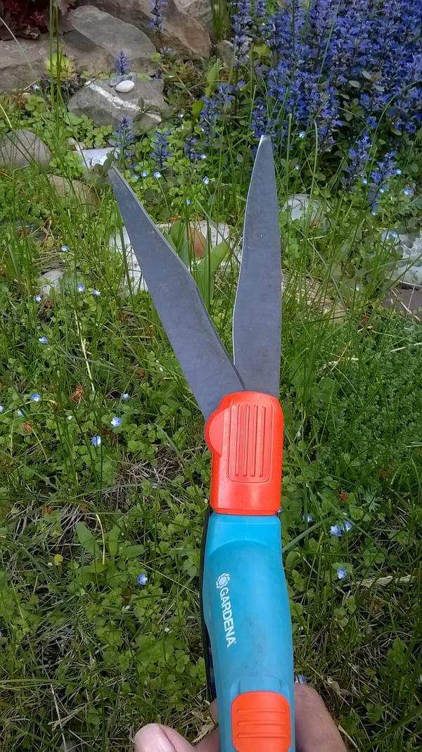 Как я их хотела!!! Ножницы от Gardena Как я их хотела!!! Ножницы от Gardena
