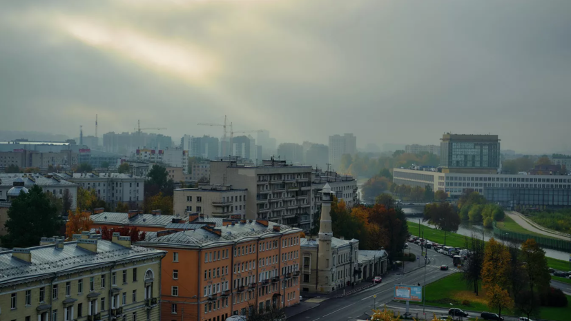 В Петербурге в будущем создадут пять новых экотроп