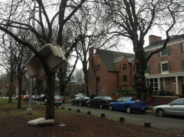 Субботний Фотопозитив 