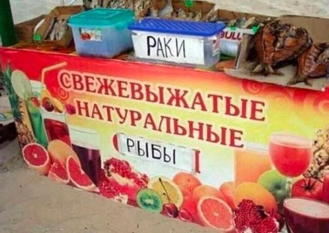 Свежие лучшие фото-приколы 