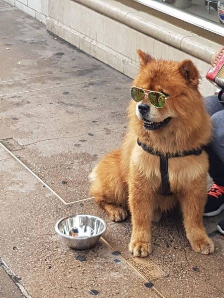 Прикольные картинки картинки из сети, прикол, юмор