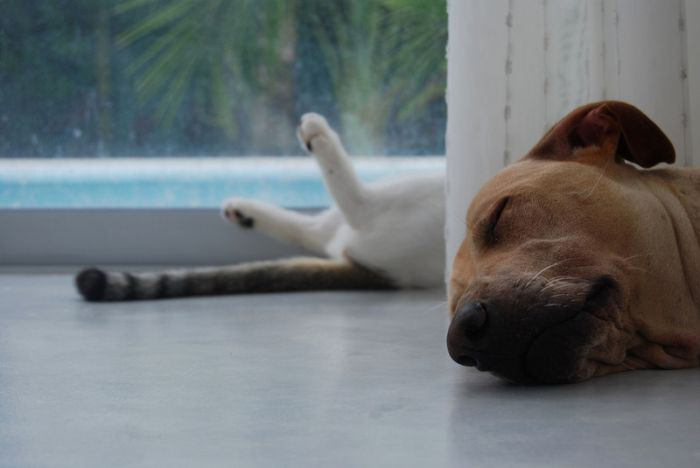 От улыбки хмурый день светлей... От улыбки хмурый день светлей...