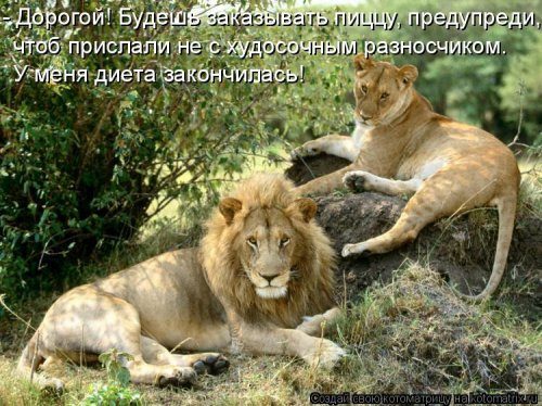 Самые прикольные котоматрицы за прошедшую неделю Самые прикольные котоматрицы за прошедшую неделю