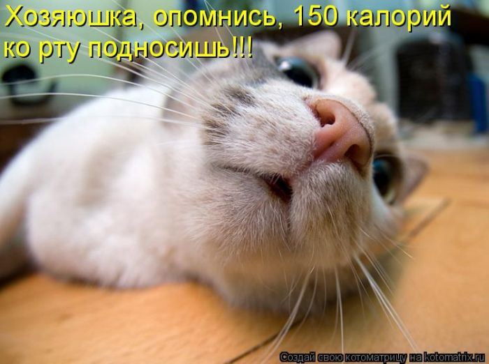 Мысли вслух :)