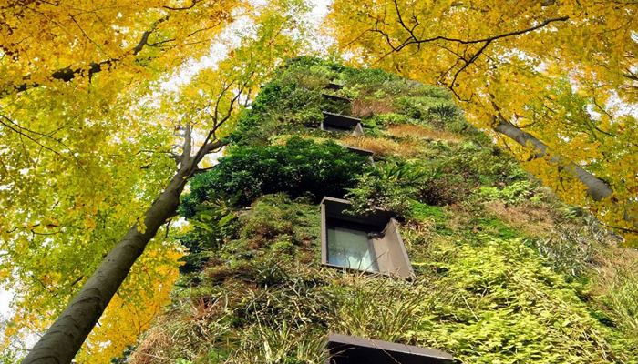 Вертикальное озеленение OAS1S – красота, комфорт и всегда свежий воздух в доме (концепт фонда OAS1S ™). | Фото: lifter.com.ua.