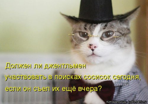Новая котоматрица для настроения (20 фото)