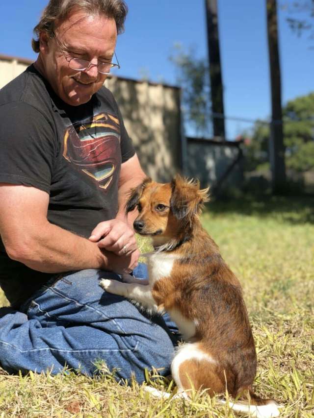 Стены старого отеля такого еще не видели! 12 щенков погибали среди мусора, а потом появились и другие Стены старого отеля такого еще не видели! 12 щенков погибали среди мусора, а потом появились и другие