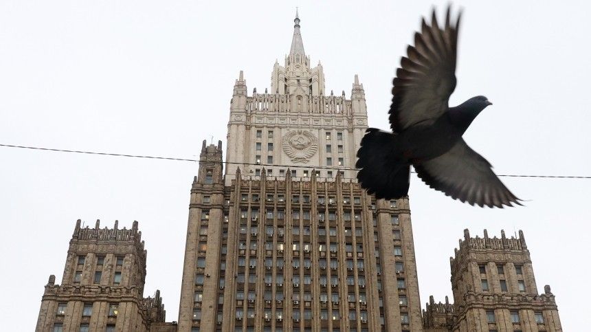 Двухметровые голуби поселились на одном из новых ЖК в Москве