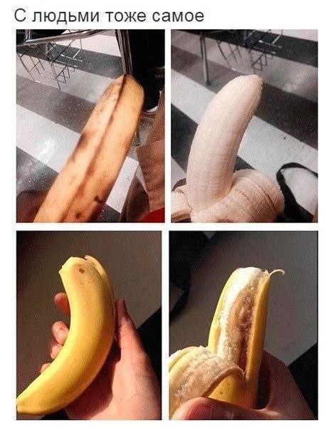 Очередная подборка картинок с подписями картинки с подписями, подборка, юмор