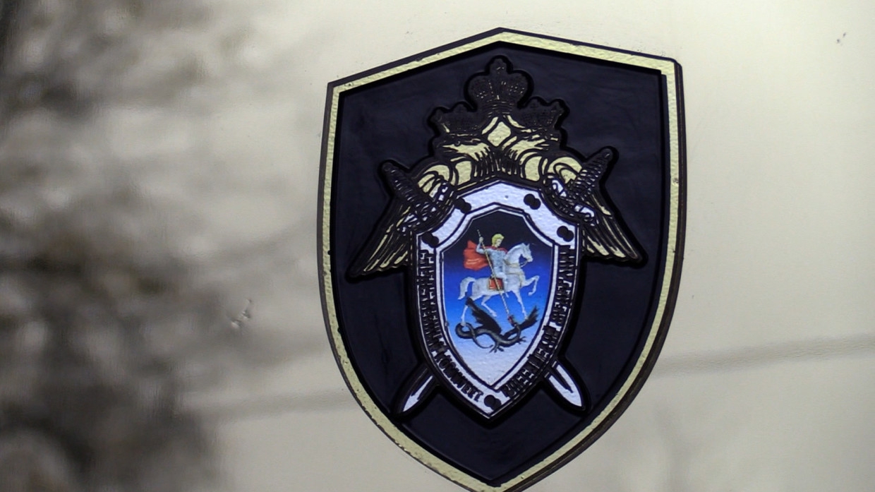 Московская прокуратура рассмотрит дело тик-токеров о надругательстве над иконой