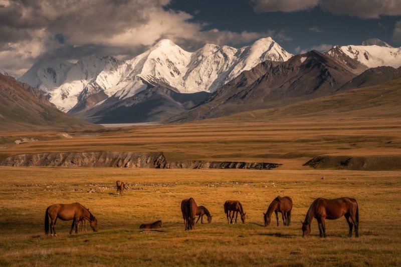 Долина Сарыджаз на границе Киргизии и Китая Кыргызстан, горы, киргизия, красивые места, ландшафтная фотография, ландшафты, пейзажи, пейзажи природы