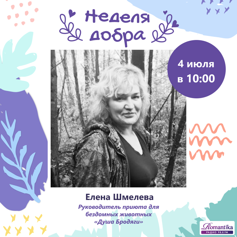 Душа бродяги калуга. Елена Шмелева приют. Елена Васильевна Шмелева душа бродяги. Елена Шмелева Калуга приют. Душа бродяги благотворительный фонд Калуга.