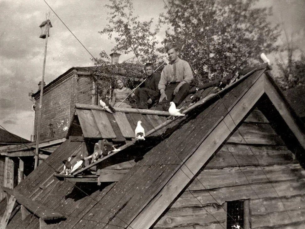 А вы когда-нибудь ели китовое мясо? 