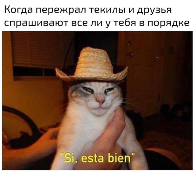 Подборка забавных фотографий и позитивных картинок с надписью со смыслом 