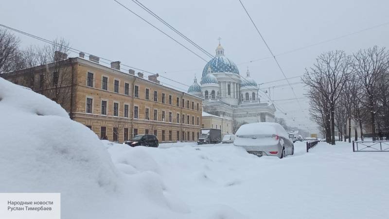 Петербуржцы в Сети сравнили Беглова с Кличко из-за оговорки про снег