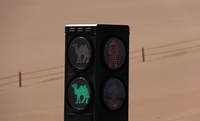 Зачем посреди пустыни в Китае установили светофоры с изображениями верблюдов?
