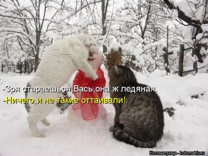 Кошарики :) Кошарики :)