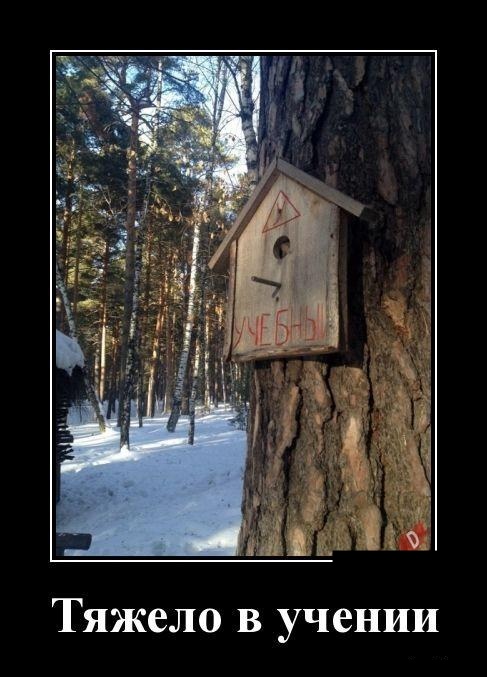 Новые демотиваторы. Черный юмор и издёвка со злорадством Новые демотиваторы. Черный юмор и издёвка со злорадством