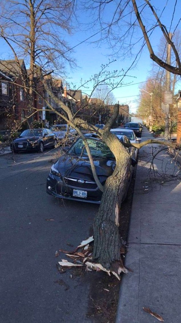 Дорога может преподнести гораздо больше сюрпризов, чем кажется: 44 фотодоказательств Дорога может преподнести гораздо больше сюрпризов, чем кажется: 44 фотодоказательств авто и мото,автоновости