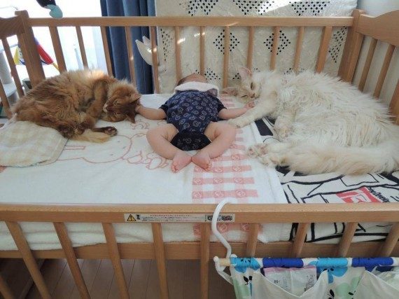 Позитивные и прикольные картинки