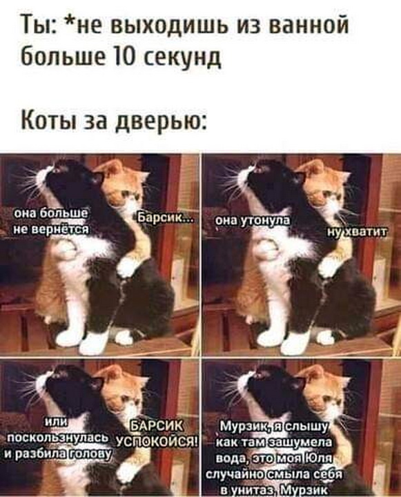 Шутки для настроения Шутки для настроения