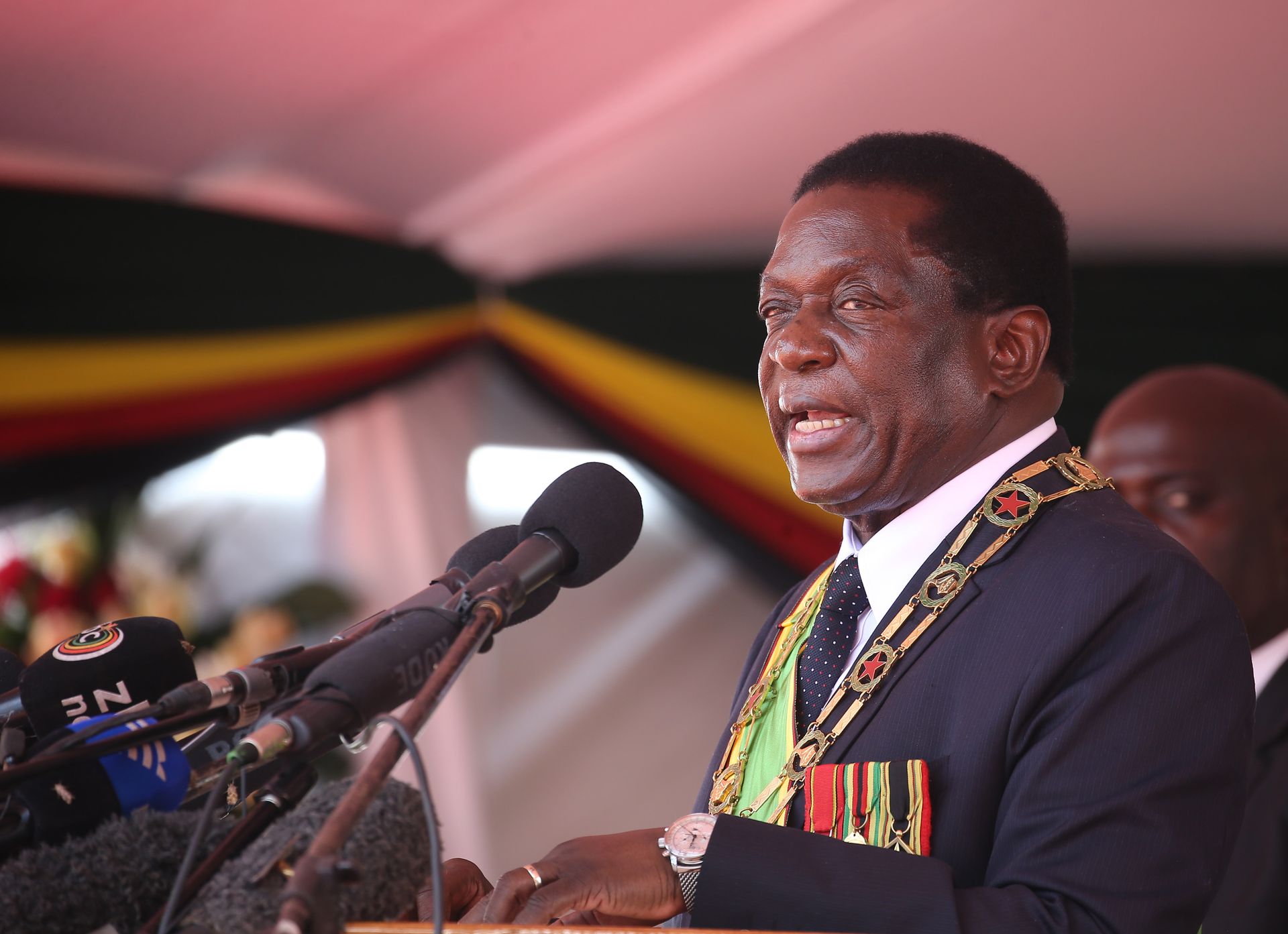 Президент Зимбабве раскритиковал предложение стран Запада спонсировать экологические программы Весь мир