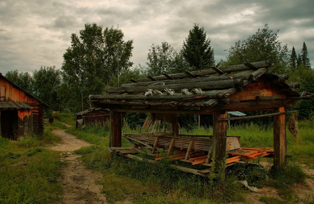 Сказочно красивые  места речки Малый Юган . Югра.  Россия Дальние дали