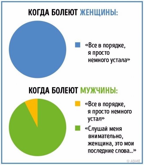 Отличия между мужчинами и женщинами в прикольной инфографике (10 фото)