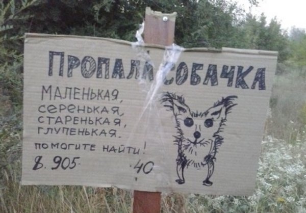 Подборка забавных объявлений  