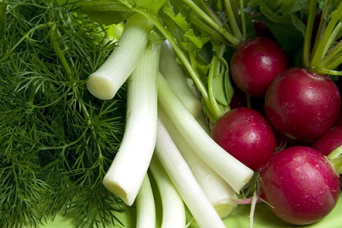 Как заработать на огороде и что вырастить для продажи? советы