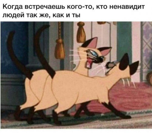 Фотоприколы и картинки дня Фотоприколы и картинки дня