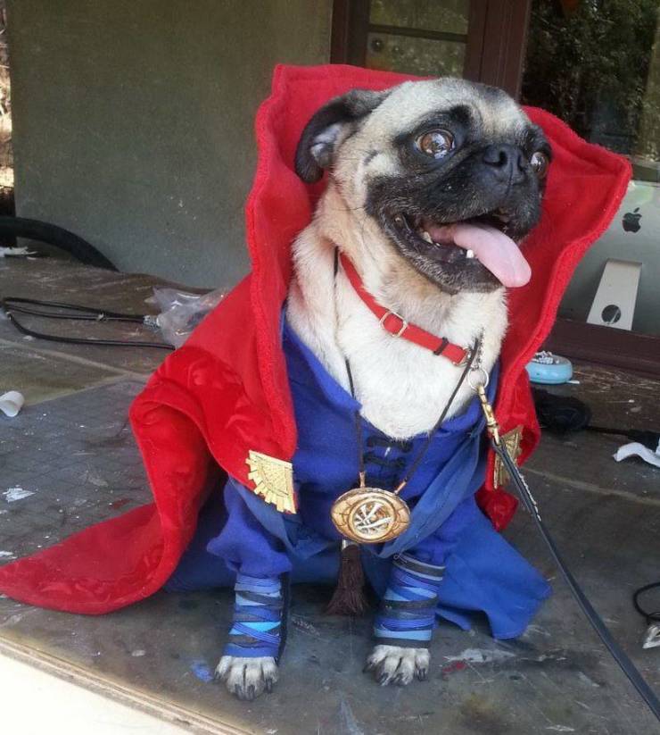 Подборка смешных картинок. Вечерний выпуск  приколы,смешные картинки,юмор