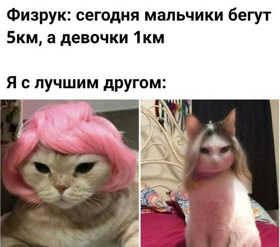 Свежие лучшие ржачные картинки Свежие лучшие ржачные картинки