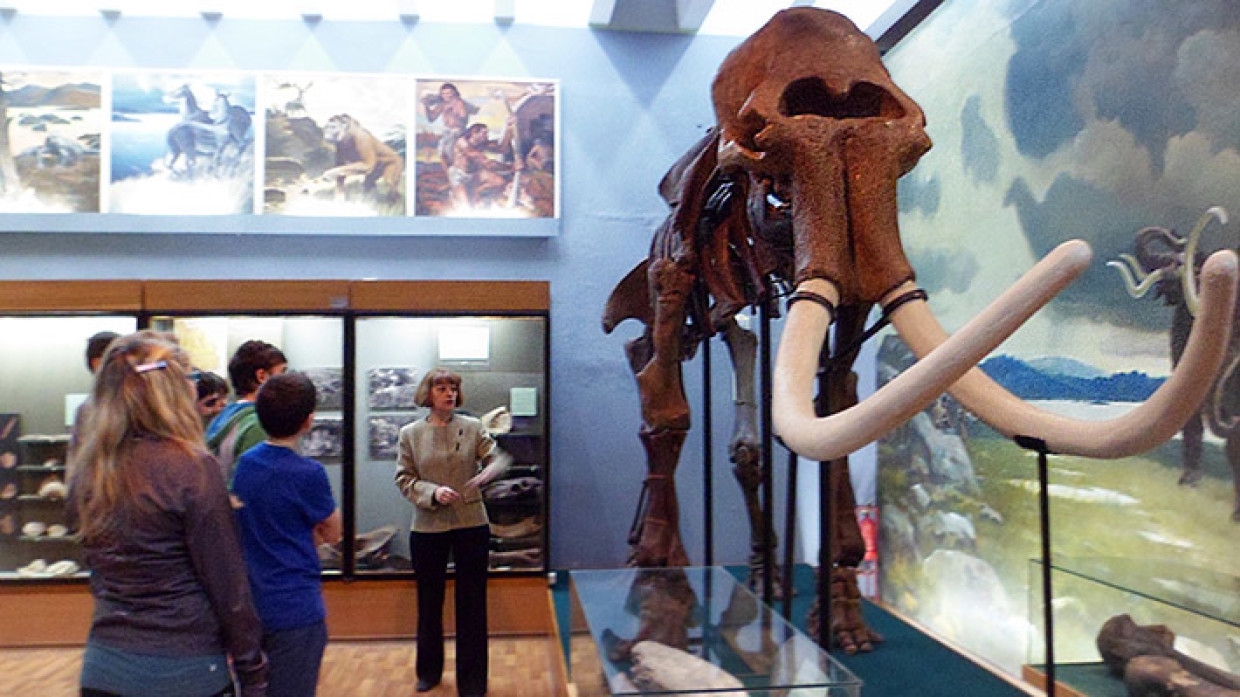 Акция «День туризма» позволит жителям Подмосковья бесплатно посетить 13 музеев