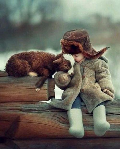 Подборка самых милых трогательных фото с детьми и животными!