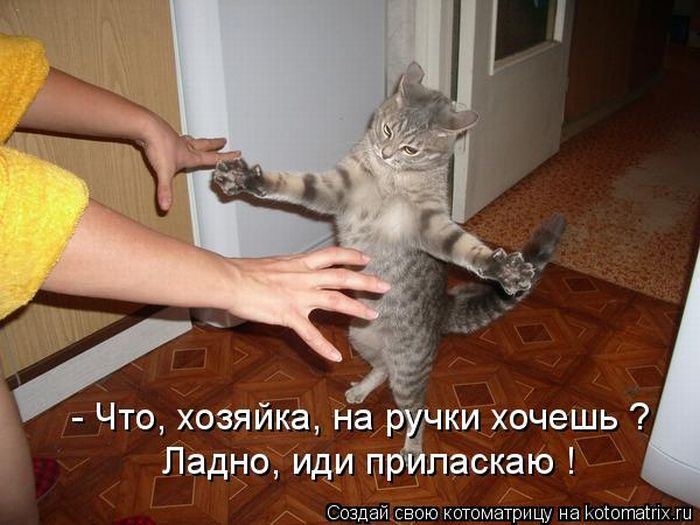Мысли вслух :)