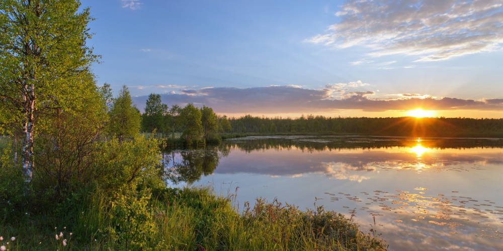 Невероятно изящные и спокойные природные пейзажи Карелии природа,путешествия,Россия