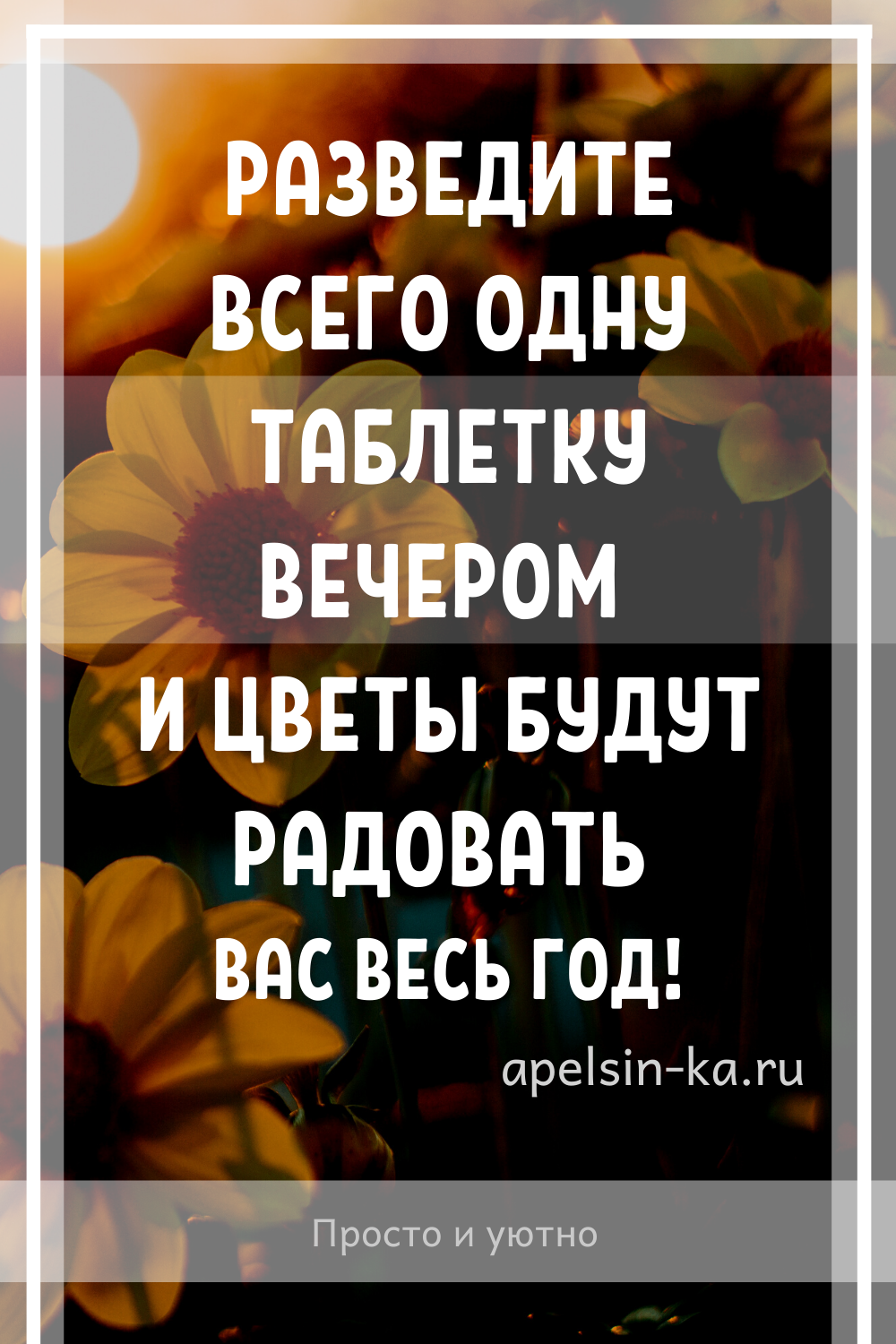 Разведите всего одну таблетку вечером и цветы будут радовать вас весь год!