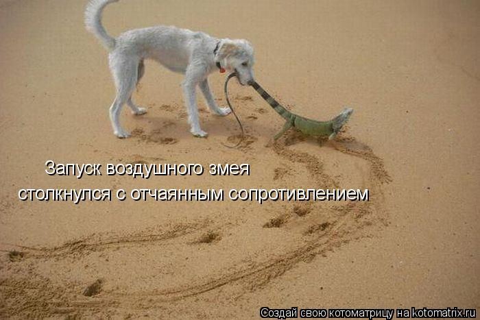 Мысли вслух :)