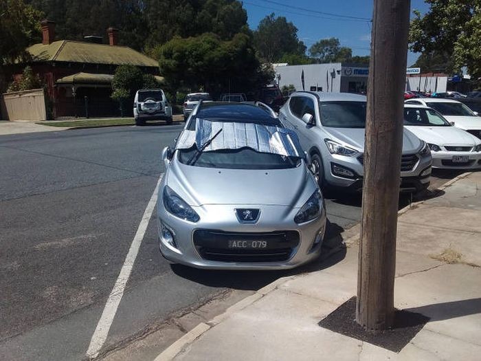 Прикольные картинки картинки из сети, прикол, юмор