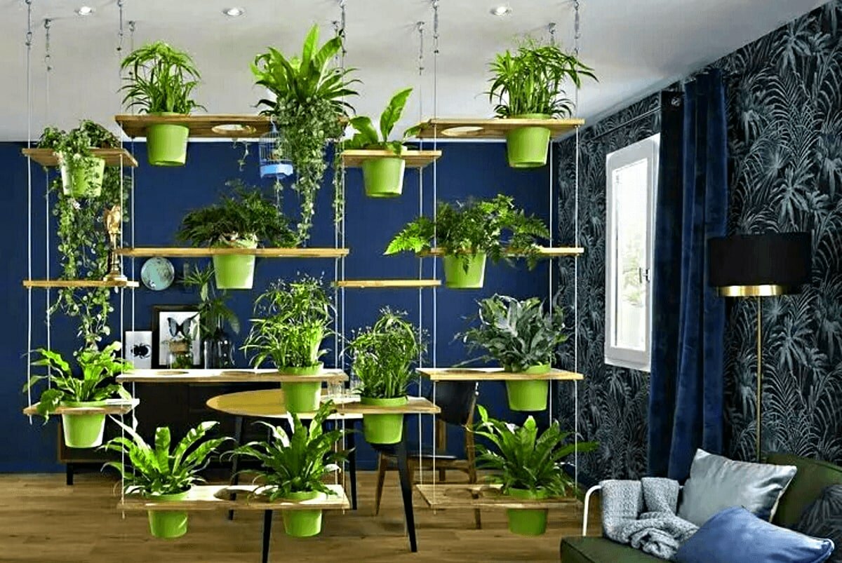 Самые модные комнатные растения может, полив, нужно, правильном, много, Монстера, акцентом, красивым, обстановку, станут, освежат, легко, которые, растений, неприхотливых, несколько модных, тепла, солнца, тщательно, обильный